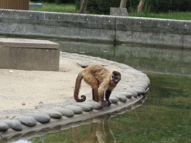 海の中道海浜公園