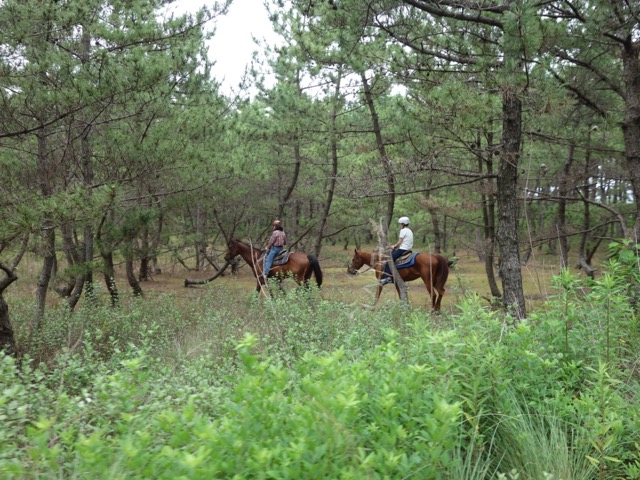 海の中道海浜公園