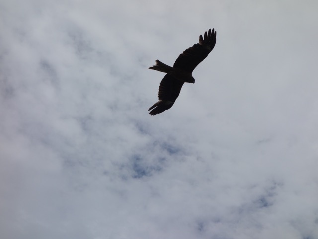 海の中道海浜公園