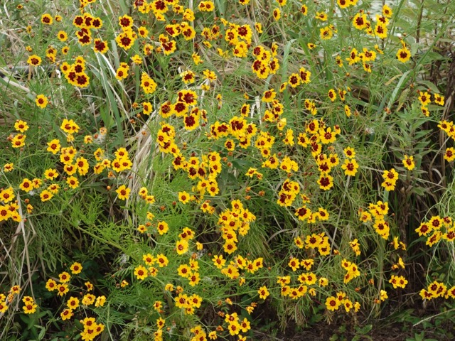 海の中道海浜公園