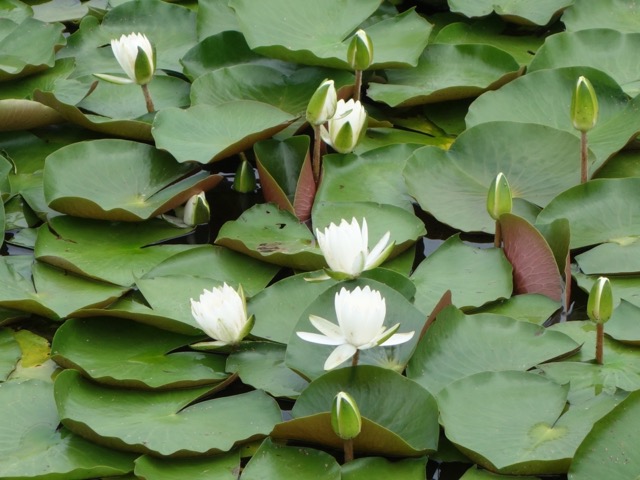 海の中道海浜公園