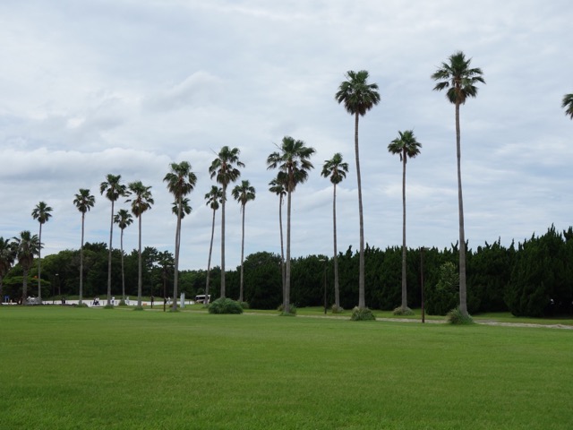 海の中道海浜公園