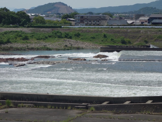 ライン大橋
