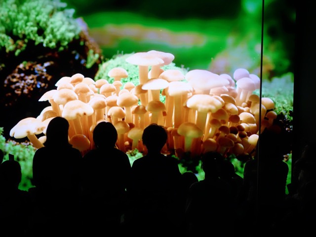 大阪・関西万博