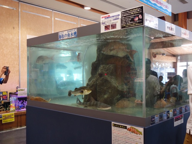 とっとり賀露かにっこ館