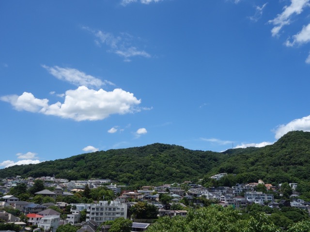 ヨドコウ迎賓館（旧山邑家住宅）