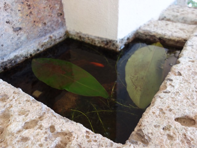 ヨドコウ迎賓館（旧山邑家住宅）