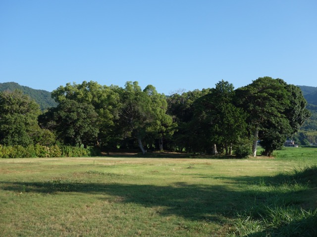 恭仁宮跡（山城国分寺跡）