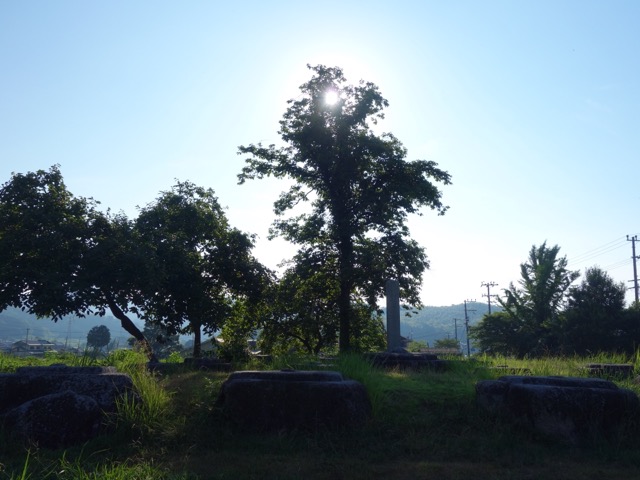 恭仁宮跡（山城国分寺跡）