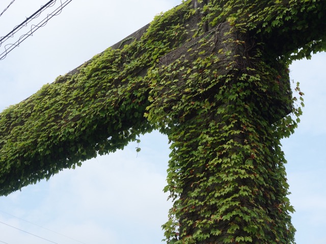 姫路モノレール廃線跡