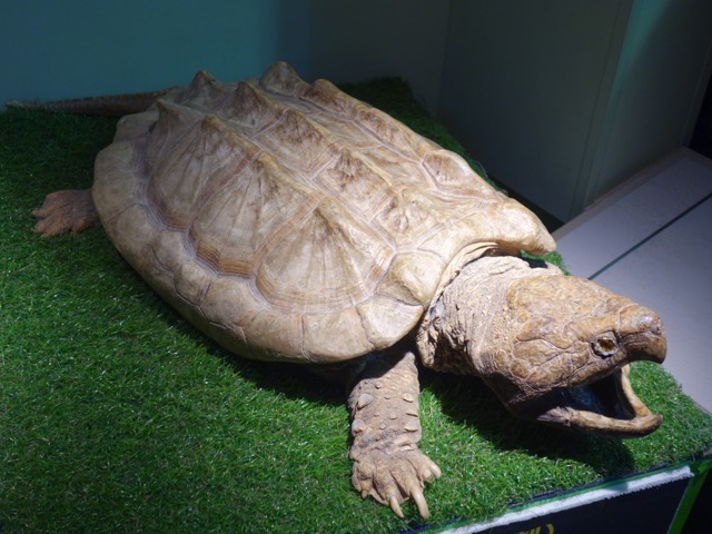姫路市立水族館