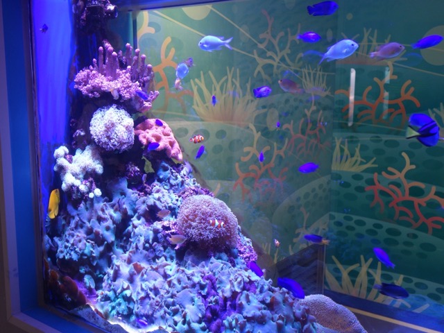 姫路市立水族館