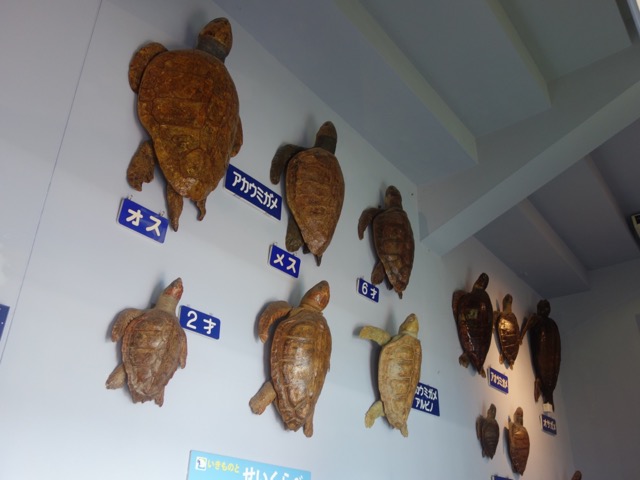 姫路市立水族館