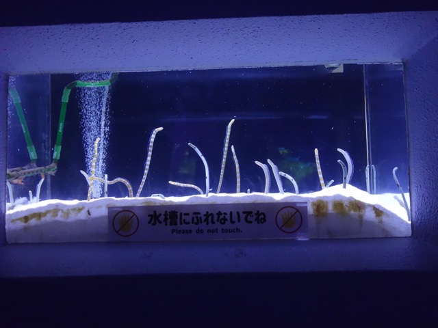 姫路市立水族館