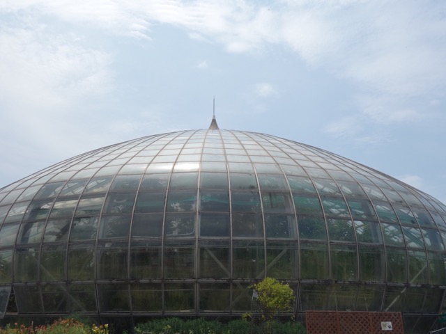 手柄山温室植物園