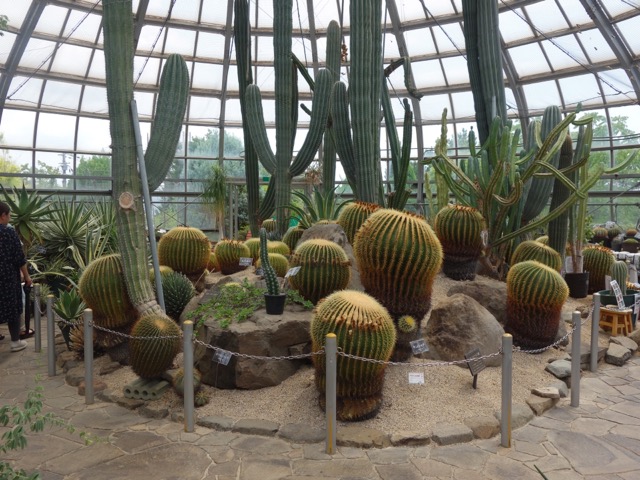 手柄山温室植物園