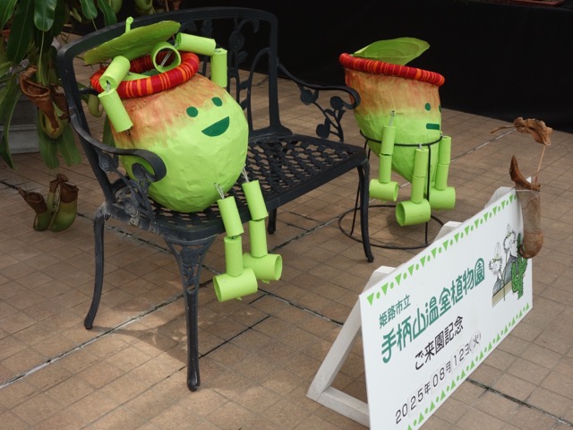 手柄山温室植物園