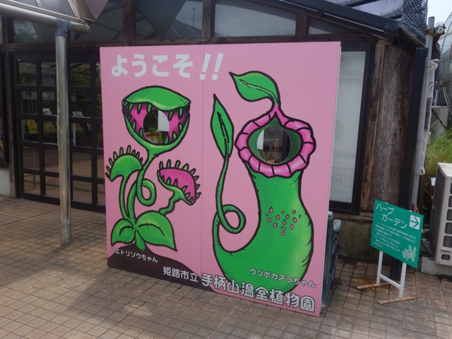 手柄山温室植物園