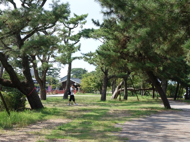 宇治公園