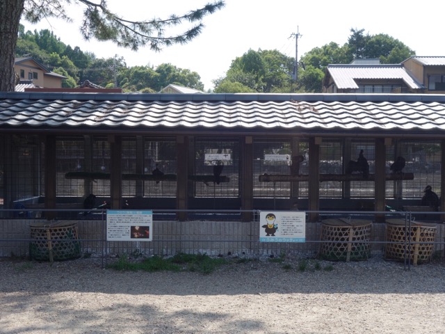 宇治公園