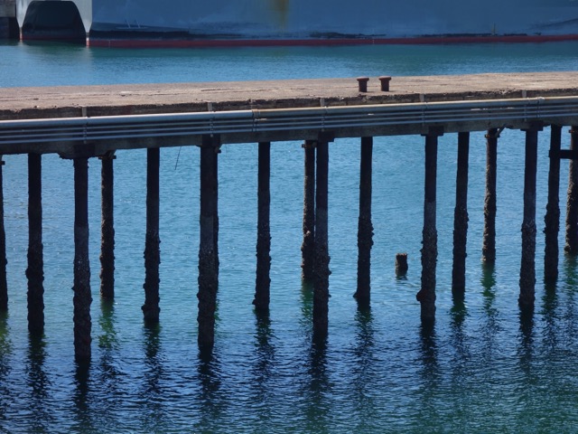 アレイからすこじま