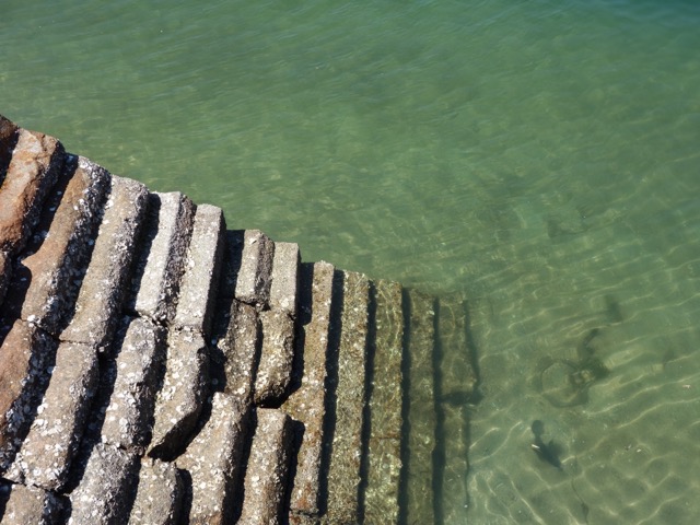 アレイからすこじま