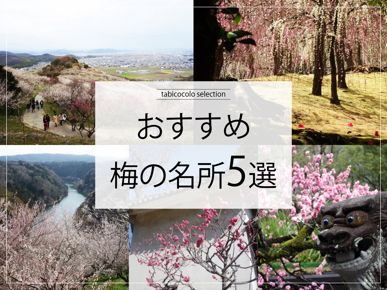 おすすめ梅の名所5選