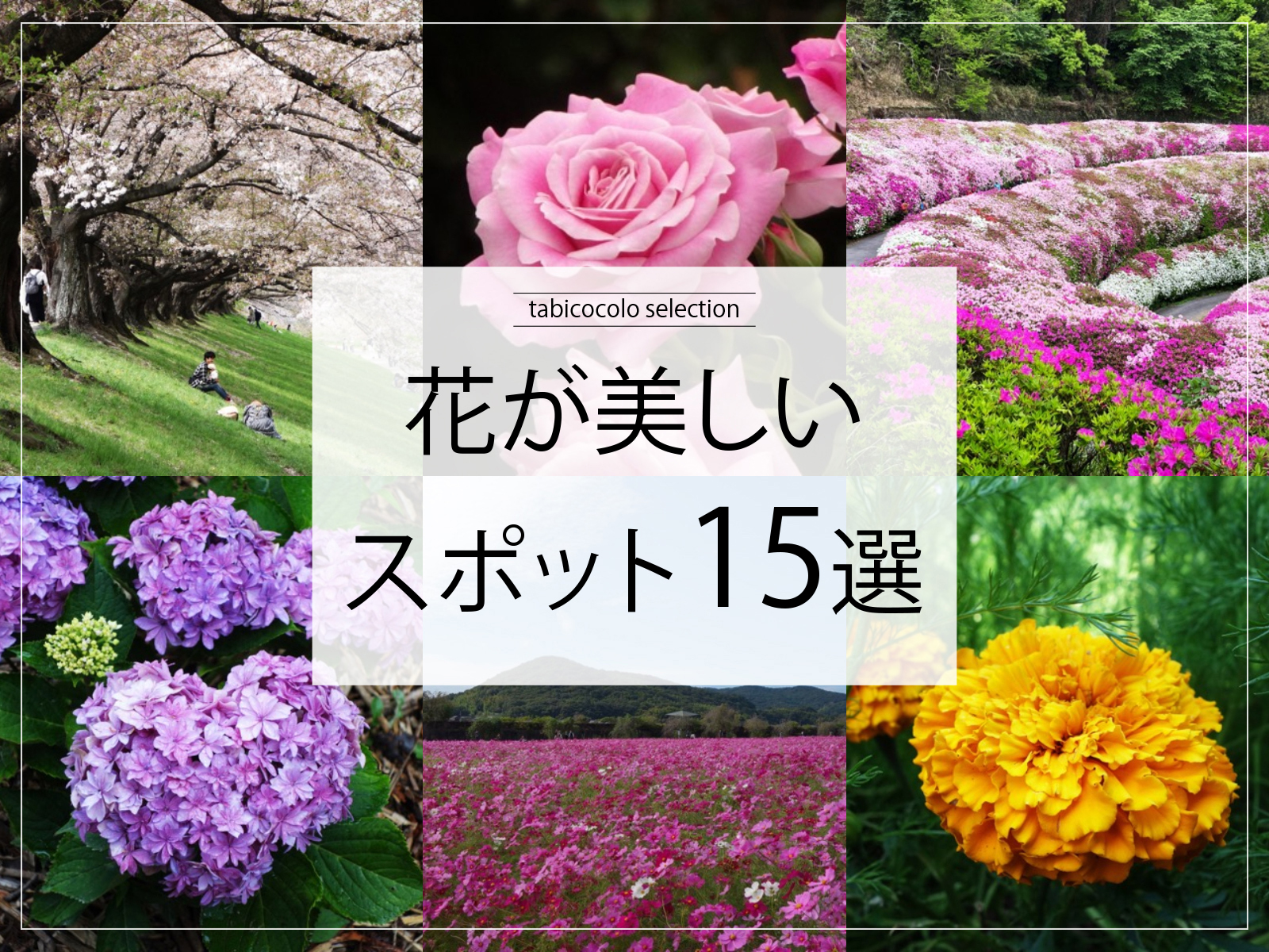 花が美しいスポット15選