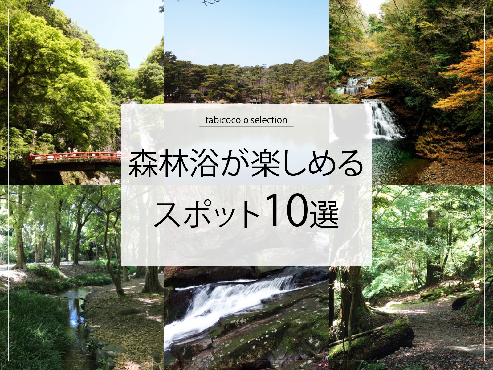 森林浴が楽しめるスポット10選