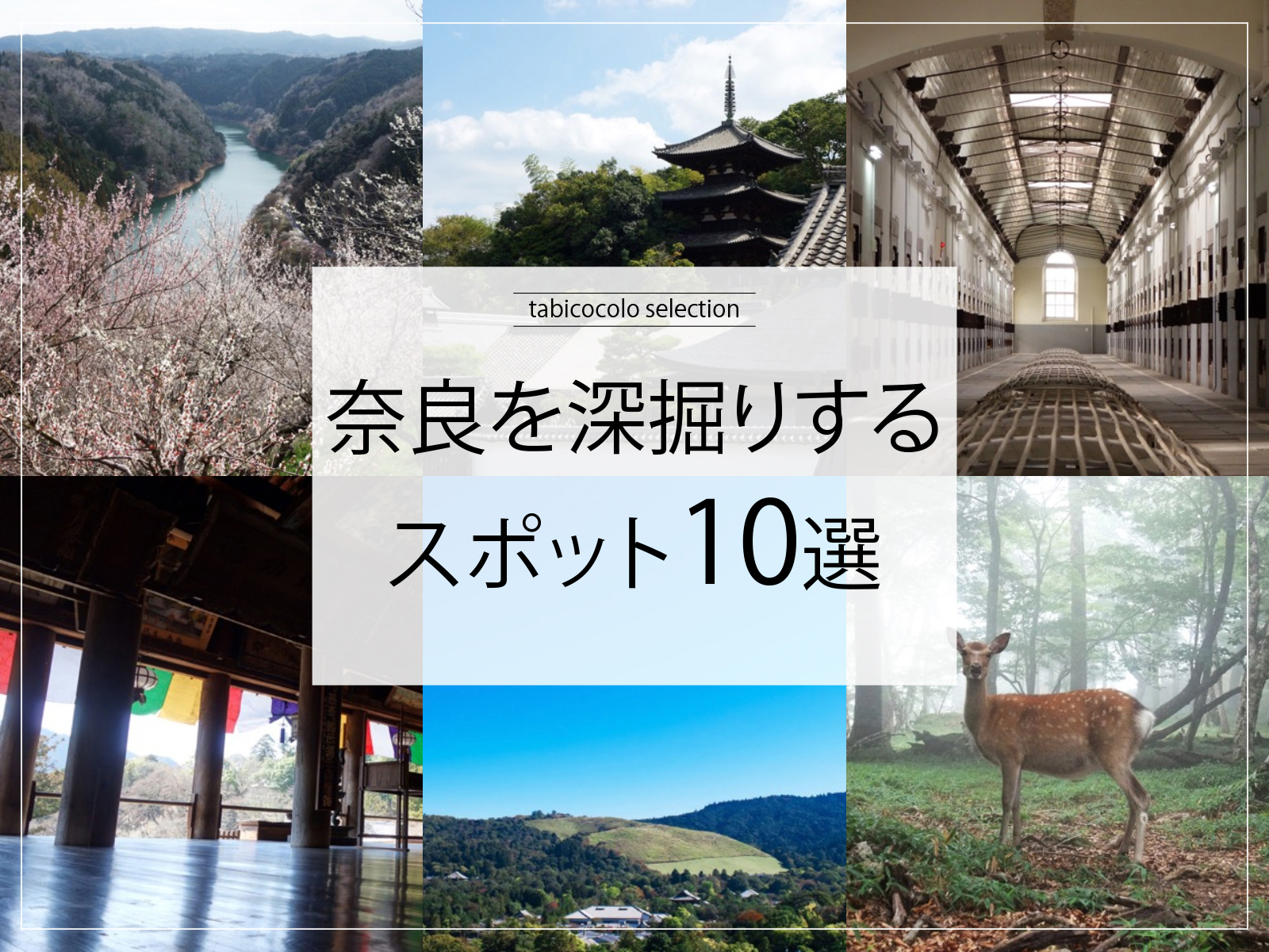 奈良県を深掘りするスポット10選