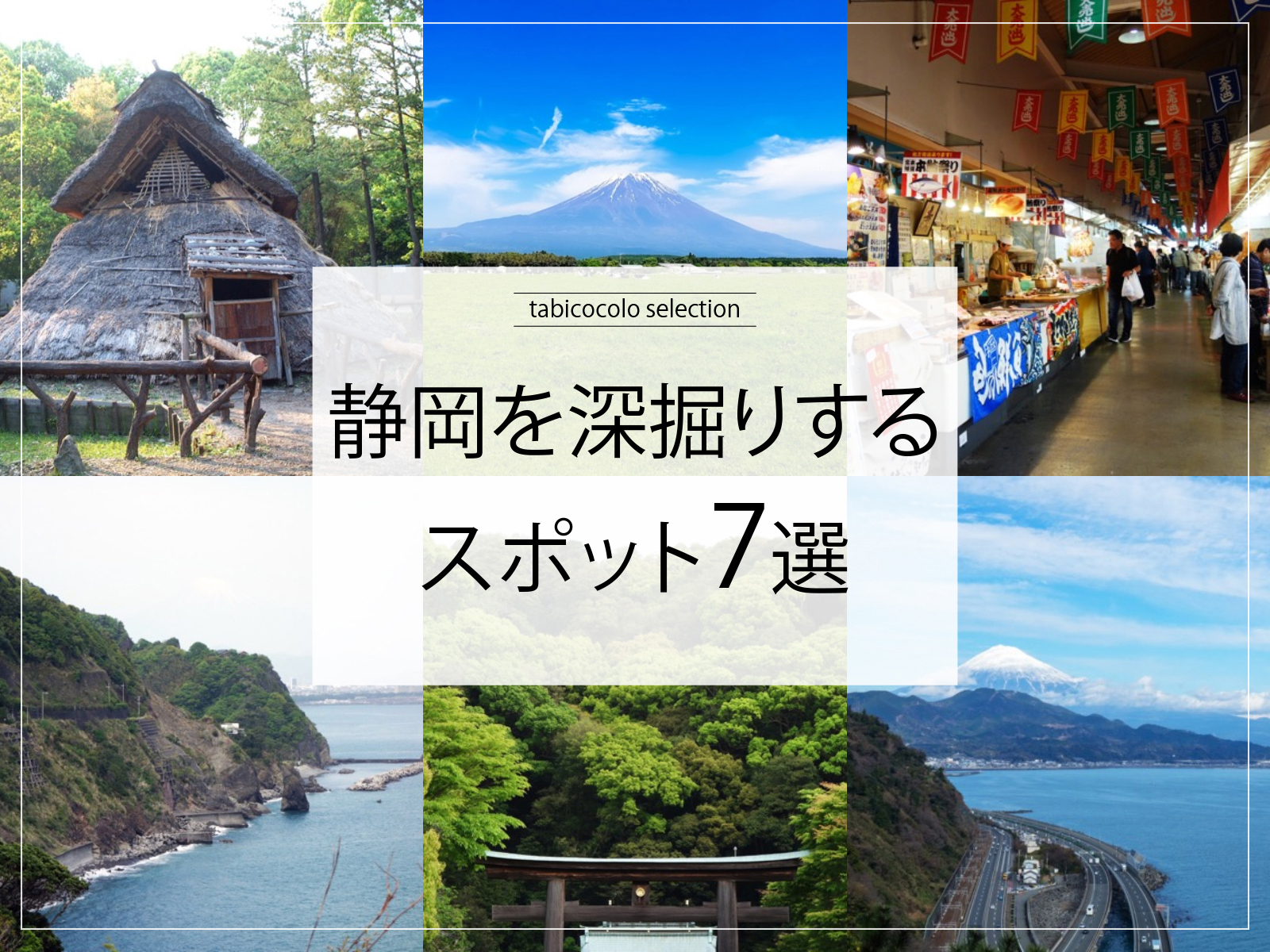 静岡県を深掘りするスポット7選