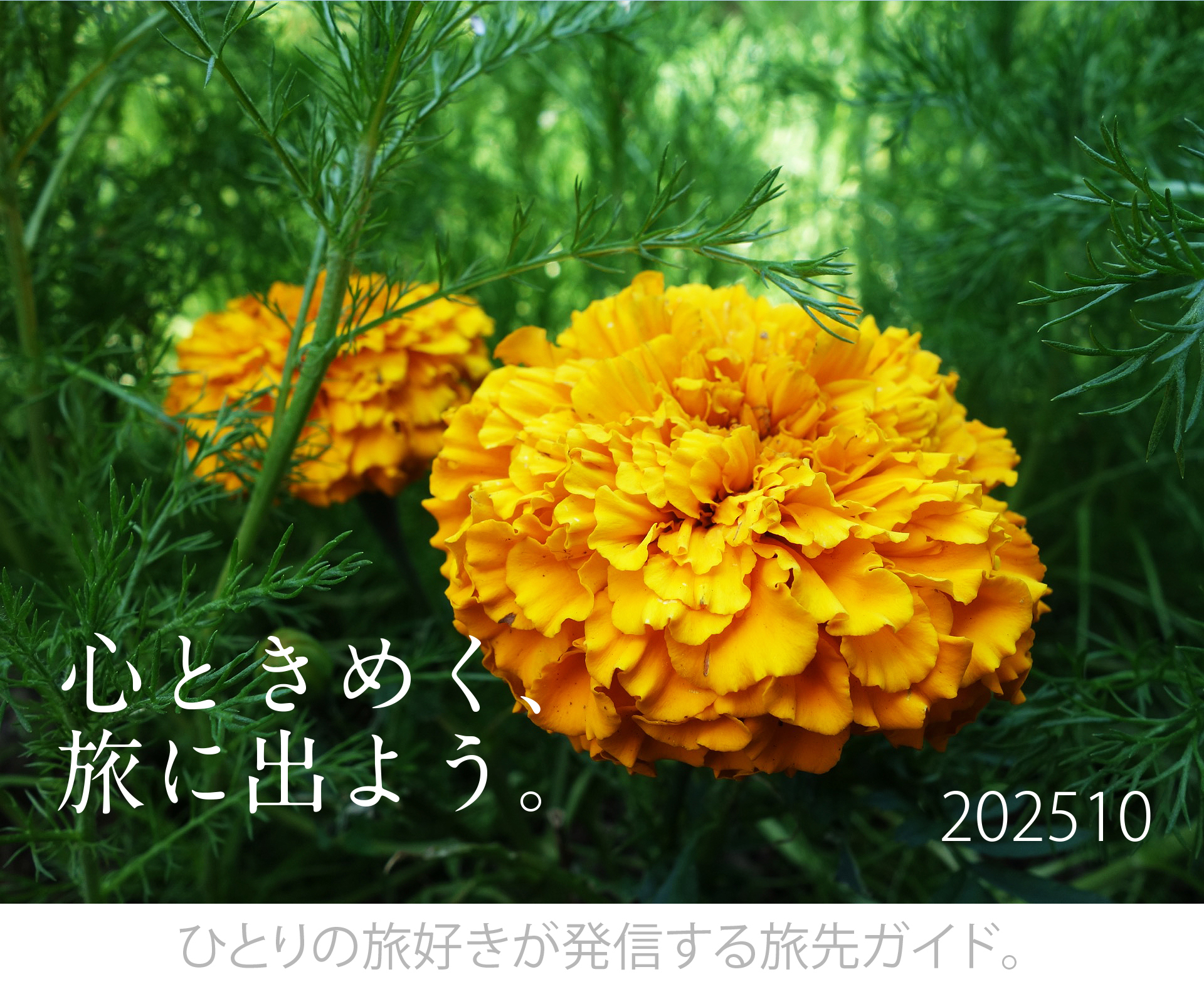 tabicocoloタイトル
